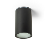 Stropna svetilka Rendl Dune E27 IP65